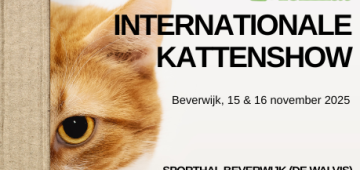 Felikat kattenshow