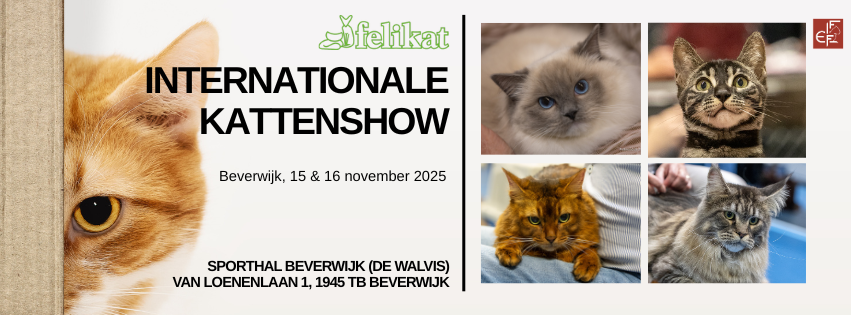 Felikat internationale kattenshow